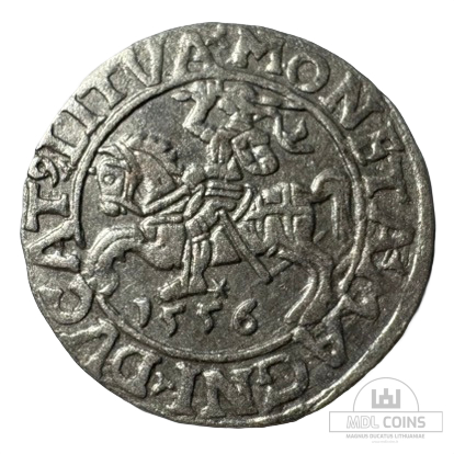 1556 metų Žygimanto Augusto 1/2 grašio