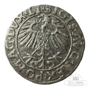 Alternative view of 1556 metų Žygimanto Augusto 1/2 grašio