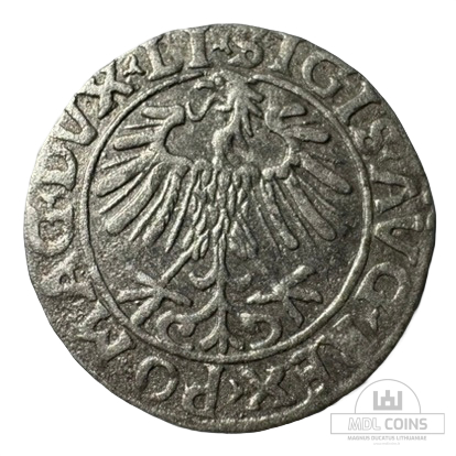 1556 metų Žygimanto Augusto 1/2 grašio - Image 2