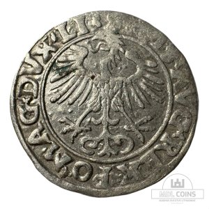 Alternative view of 1556 metų Žygimanto Augusto 1/2 grašio