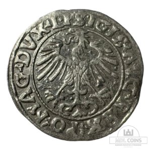Alternative view of 1556 metų Žygimanto Augusto 1/2 grašio