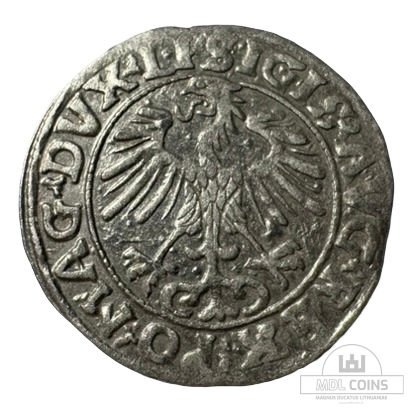 1556 metų Žygimanto Augusto 1/2 grašio - Image 2