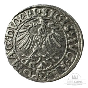 Alternative view of 1557 metų Žygimanto Augusto 1/2 grašio