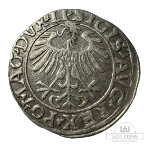 Alternative view of 1557 metų Žygimanto Augusto 1/2 grašio