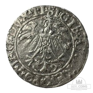 Alternative view of 1558 metų Žygimanto Augusto 1/2 grašio – (Sesija Nr.96 – Pabaiga 20260604 – 22.20 val. + 2 min. „Anti-sniping”)