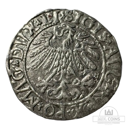 1558 metų Žygimanto Augusto 1/2 grašio - Image 2