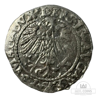 1559 metų Žygimanto Augusto 1/2 grašio - Image 2