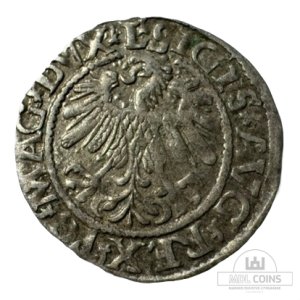 Alternative view of 1559 metų Žygimanto Augusto 1/2 grašio