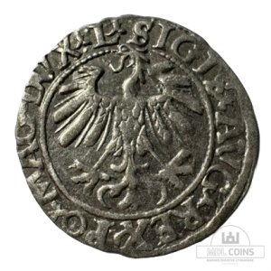 Alternative view of 1559 metų Žygimanto Augusto 1/2 grašio