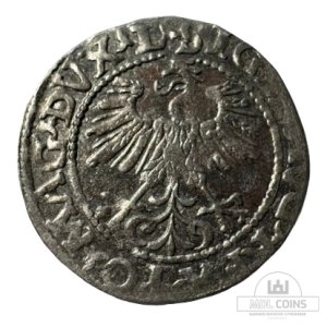 Alternative view of 1560 metų Žygimanto Augusto 1/2 grašio