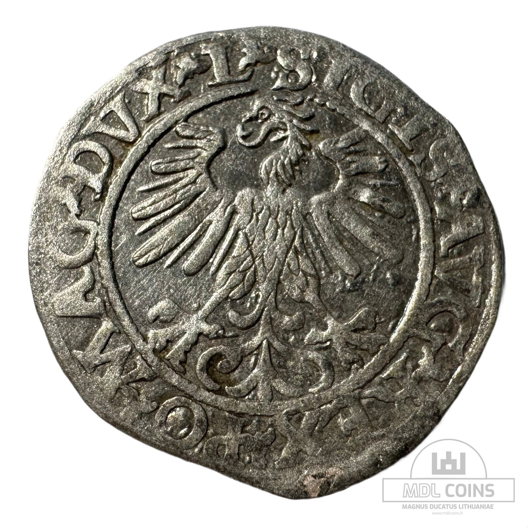 1560 metų Žygimanto Augusto 1/2 grašio - Image 2
