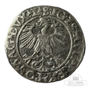 Alternative view of 1560 metų Žygimanto Augusto 1/2 grašio