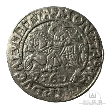 1560 metų Žygimanto Augusto 1/2 grašio
