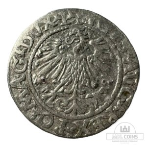 Alternative view of 1560 metų Žygimanto Augusto 1/2 grašio