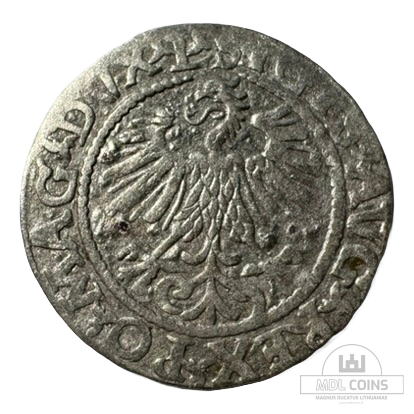 1560 metų Žygimanto Augusto 1/2 grašio - Image 2