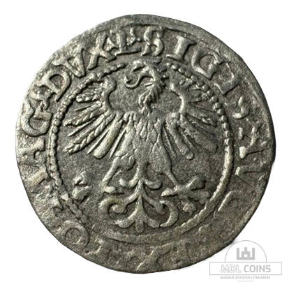 1560 metų Žygimanto Augusto 1/2 grašio - Image 2