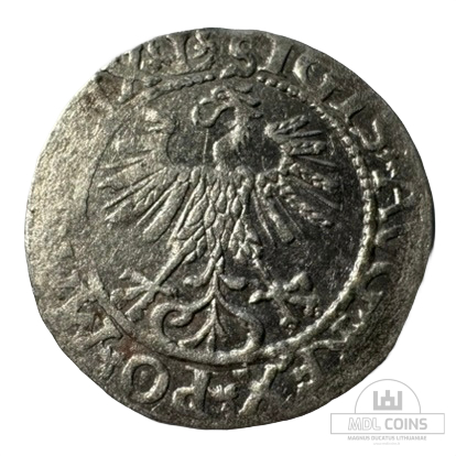 1561 metų Žygimanto Augusto 1/2 grašio - Image 2