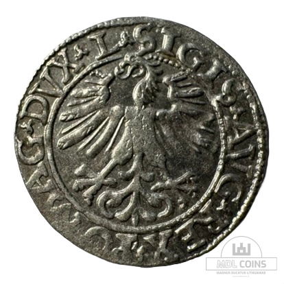 1562 metų Žygimanto Augusto 1/2 grašio - Image 2