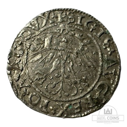 1562 metų Žygimanto Augusto 1/2 grašio - Dvigubas kalimas - Image 2