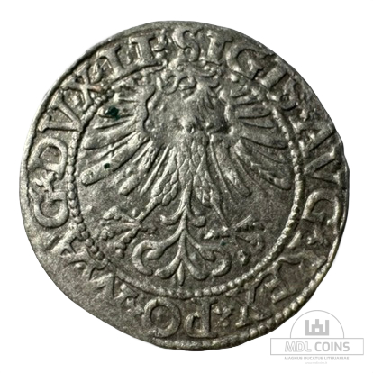 1562 metų Žygimanto Augusto 1/2 grašio - Image 2
