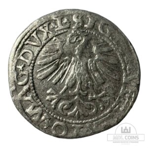 Alternative view of 1562 metų Žygimanto Augusto 1/2 grašio