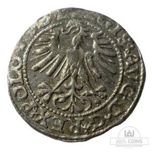 Alternative view of 1563 metų Žygimanto Augusto 1/2 grašio