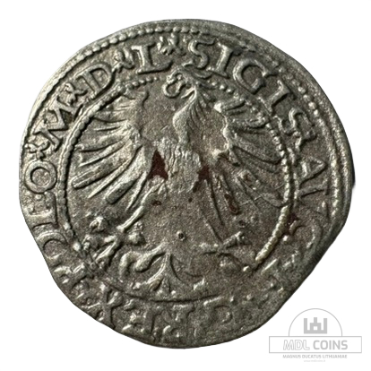 1563 metų Žygimanto Augusto 1/2 grašio - Image 2