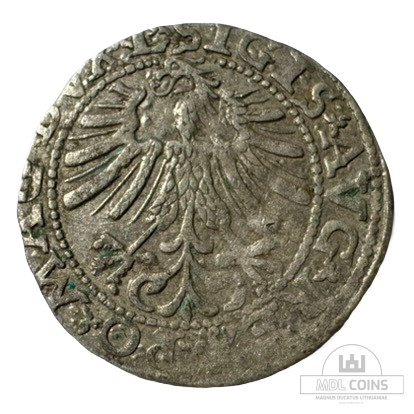 1563 metų Žygimanto Augusto 1/2 grašio - Image 2