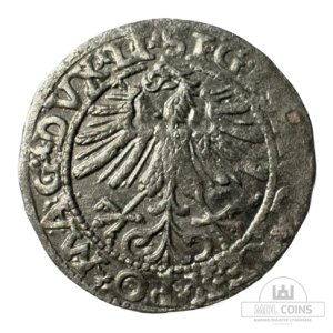Alternative view of 1563 metų Žygimanto Augusto 1/2 grašio