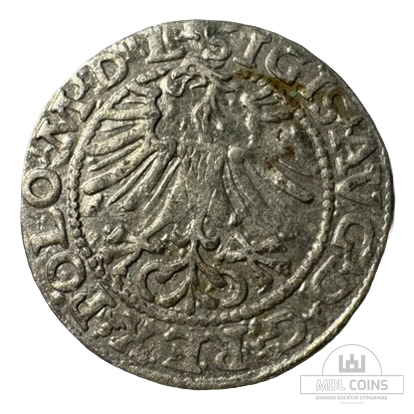 1564 metų Žygimanto Augusto 1/2 grašio - Image 2