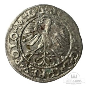 Alternative view of 1564 metų Žygimanto Augusto 1/2 grašio