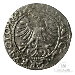 Alternative view of 1564 metų Žygimanto Augusto 1/2 grašio