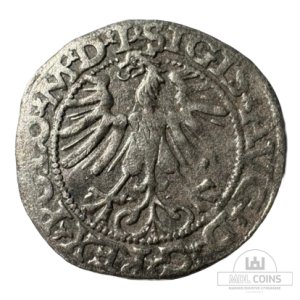 Alternative view of 1564 metų Žygimanto Augusto 1/2 grašio