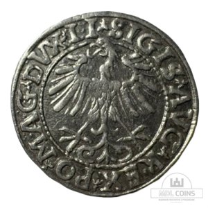 Alternative view of 1557 metų Žygimanto Augusto 1/2 grašio