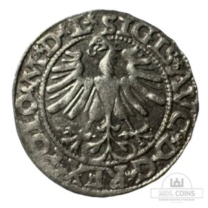 Alternative view of 1565 metų Žygimanto Augusto 1/2 grašio
