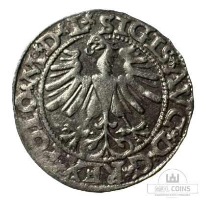 1565 metų Žygimanto Augusto 1/2 grašio - Image 2