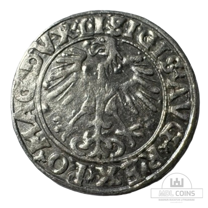 1556 metų Žygimanto Augusto 1/2 grašio - Image 2