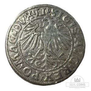 Alternative view of 1548 metų Žygimanto Augusto 1/2 grašio