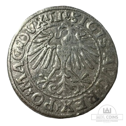 1548 metų Žygimanto Augusto 1/2 grašio - Image 2