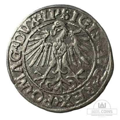 1548 metų Žygimanto Augusto 1/2 grašio - Image 2