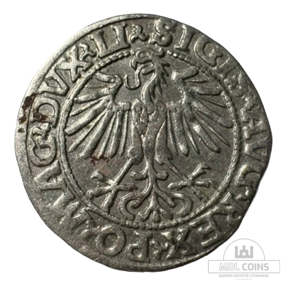 1548 metų Žygimanto Augusto 1/2 grašio - Image 2