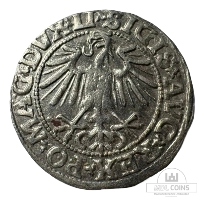 1549 metų Žygimanto Augusto 1/2 grašio - Image 2