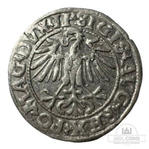 Alternative view of 1549 metų Žygimanto Augusto 1/2 grašio