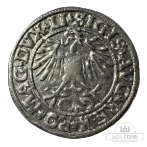 Alternative view of 1549 metų Žygimanto Augusto 1/2 grašio