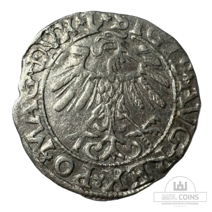 1557 metų Žygimanto Augusto 1/2 grašio - Image 2