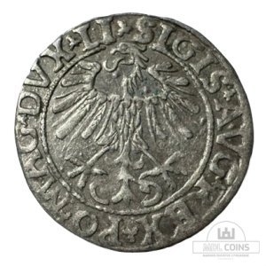 Alternative view of 1557 metų Žygimanto Augusto 1/2 grašio