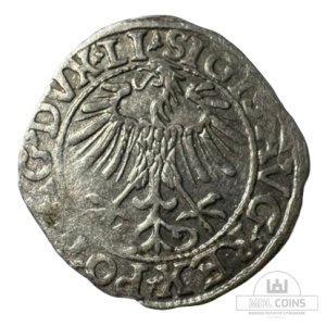 Alternative view of 1557 metų Žygimanto Augusto 1/2 grašio