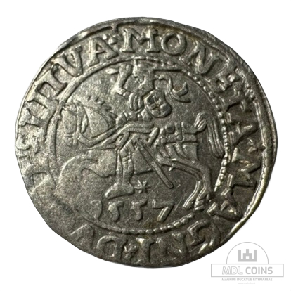 1557 metų Žygimanto Augusto 1/2 grašio