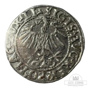 Alternative view of 1557 metų Žygimanto Augusto 1/2 grašio