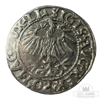 1557 metų Žygimanto Augusto 1/2 grašio - Image 2